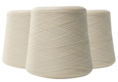 Jiangsu Haoye Fiber Technology Co. ، Ltd.