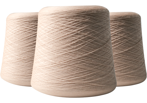 Jiangsu Haoye Fiber Technology Co. ، Ltd.
